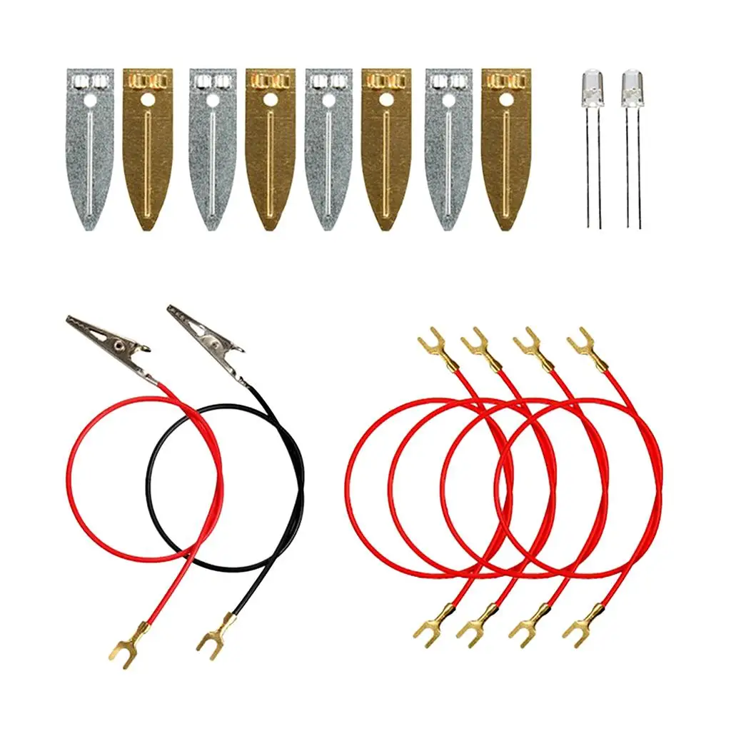 Kit scientifici Set Fruit Power Generation Esperimenti scientifici Giocattoli educativi