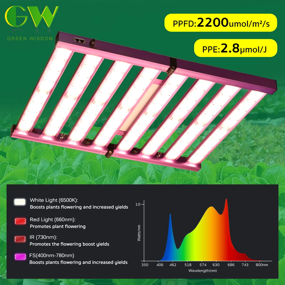 240W 320W 480W Full Spectrum LED Grow Light High PPFD Hydroponic Growing Lamp LM281B for Greenhouse Plants Phyto Veg Flowers