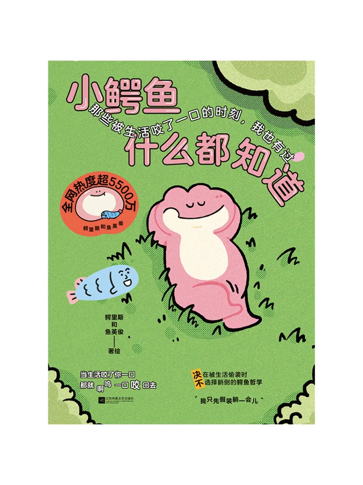 

Книга — «Маленький крокодил все знает»