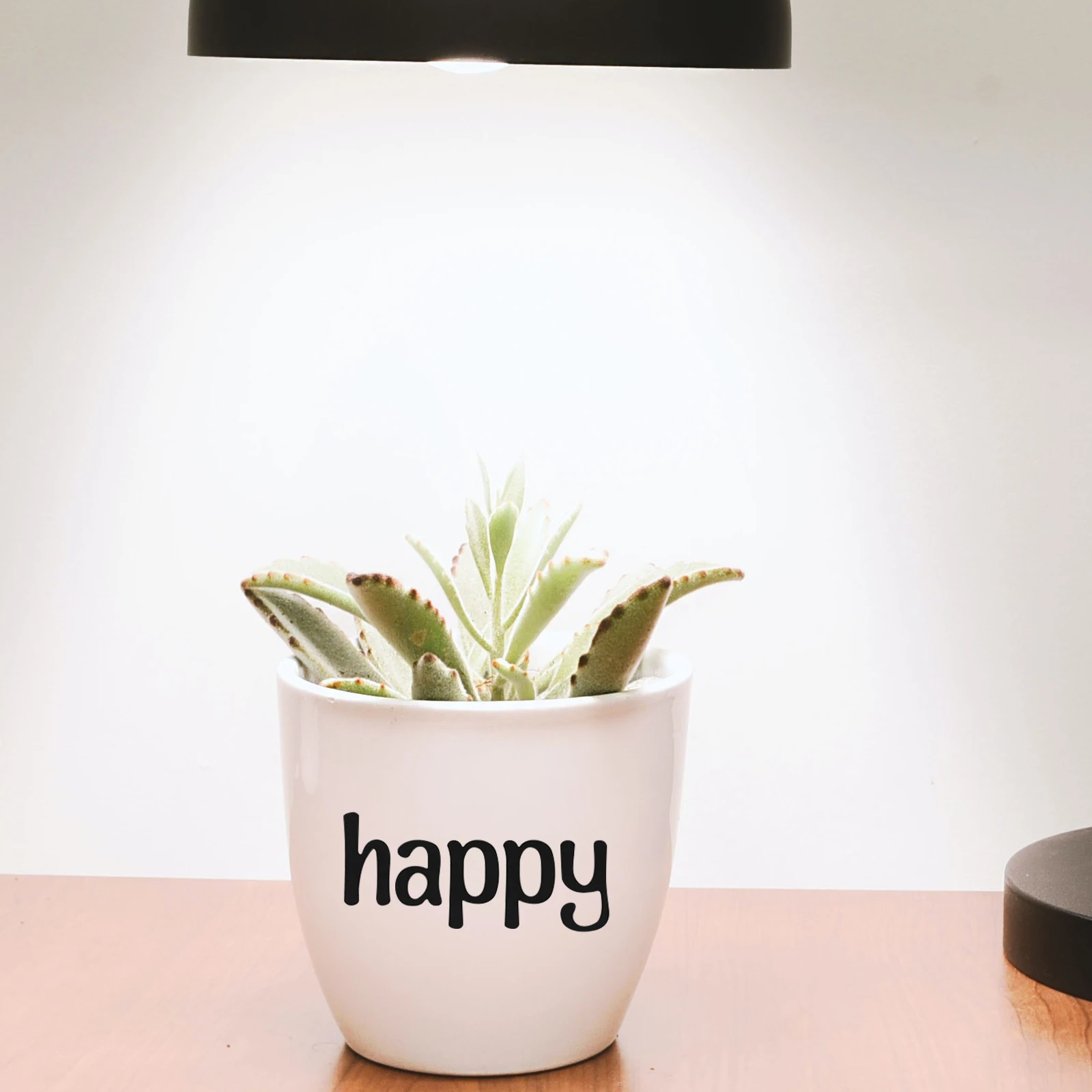 

12 Sheets Letter Number Diy Alphabet Number For Water Bottles Laptop Scrapbook Crafts Vinyl Adhesive Set Decorative Letters