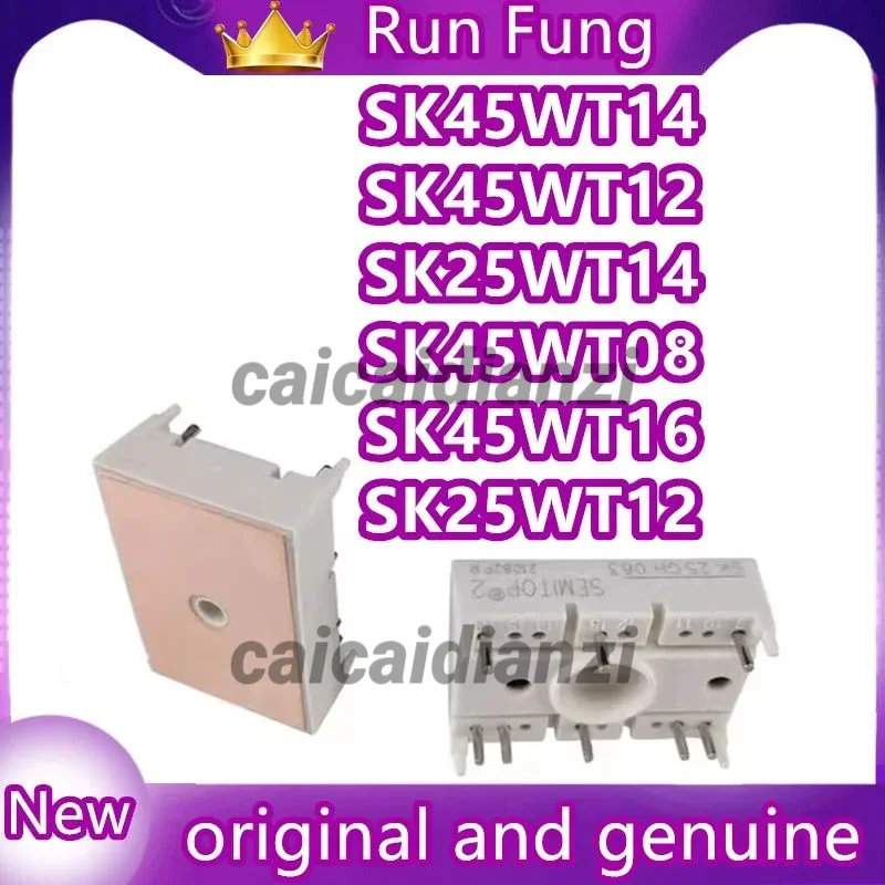 SK45WT16 SK25WT08 SK25WT12 SK25WT14 SK45WT08 SK45WT12 SK45WT14 SK25WT16 Module In Stock New Original