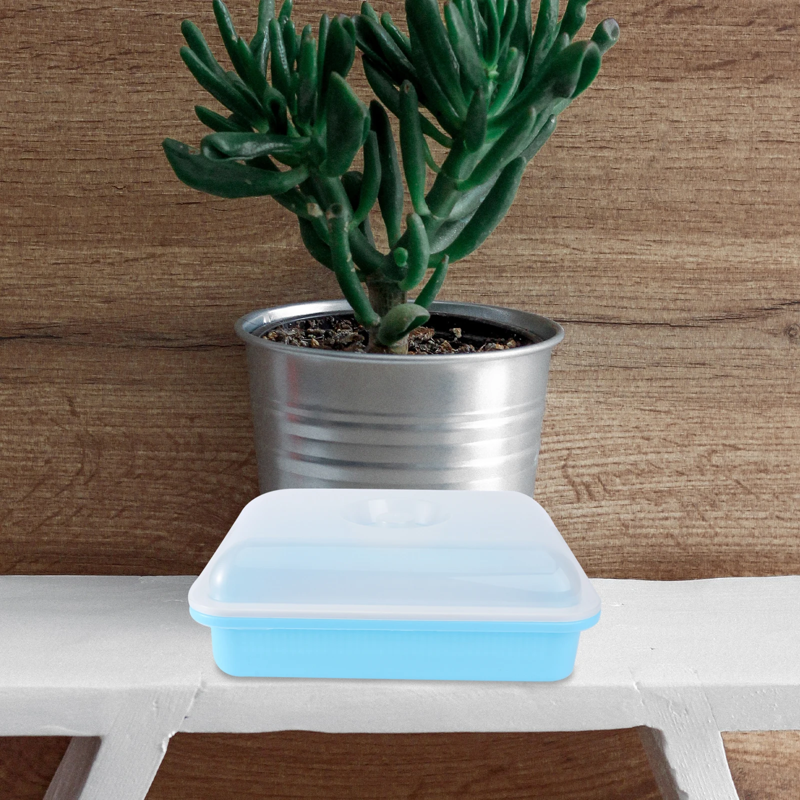 

Germination Tray With Lid Plastic Planting Starter Kit For Indoor Gardening Hydroponic Pots Nursery Tray