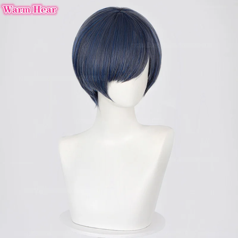 Kuroshitsuji Cosplay Perruque Synthétique Courte Ciel Phantomhive Anime, Bleu, Gris, Perruques et Masque, Degré de Chaleur, Cheveux, Accessoires, 30cm, 75cm