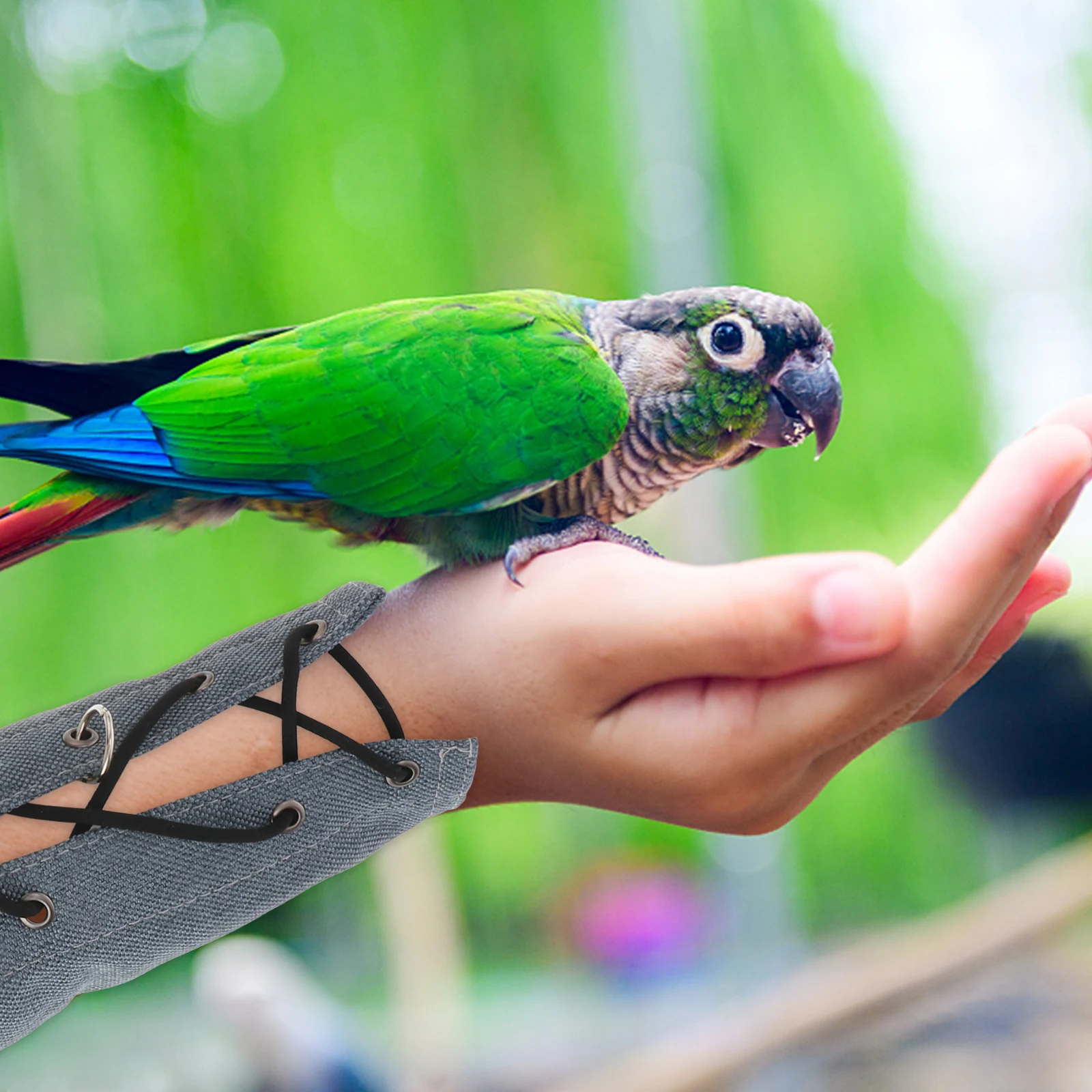 

Comfortable Pet Bird Arm Cover Cotton Fabric Anti-Scratch Adjustable Design Chic Practical Parrot Hand Protector Accessory