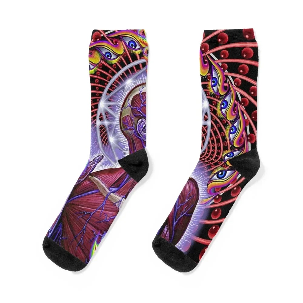 

Lateralus nima Fear Inoculum 10,000 Days Undertow Socks japanese fashion sport Woman Socks Men's