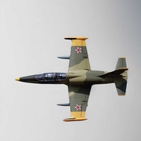 Freewing 80mm L-39 \