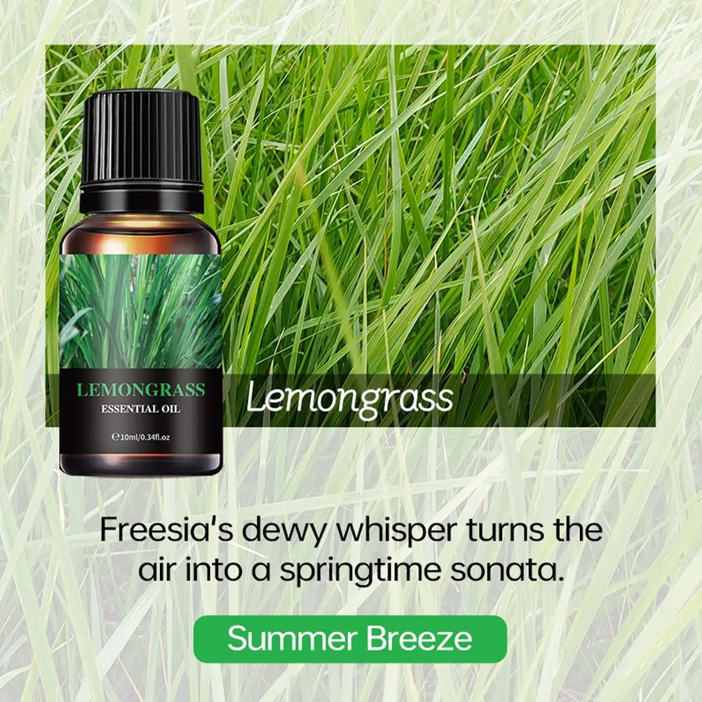 Pure Essential Oil for Aromatherapy Diffuser White Tea Ocean Mint Scent Natural Botanical Extract Room Fragrance for DIY Candles image 4