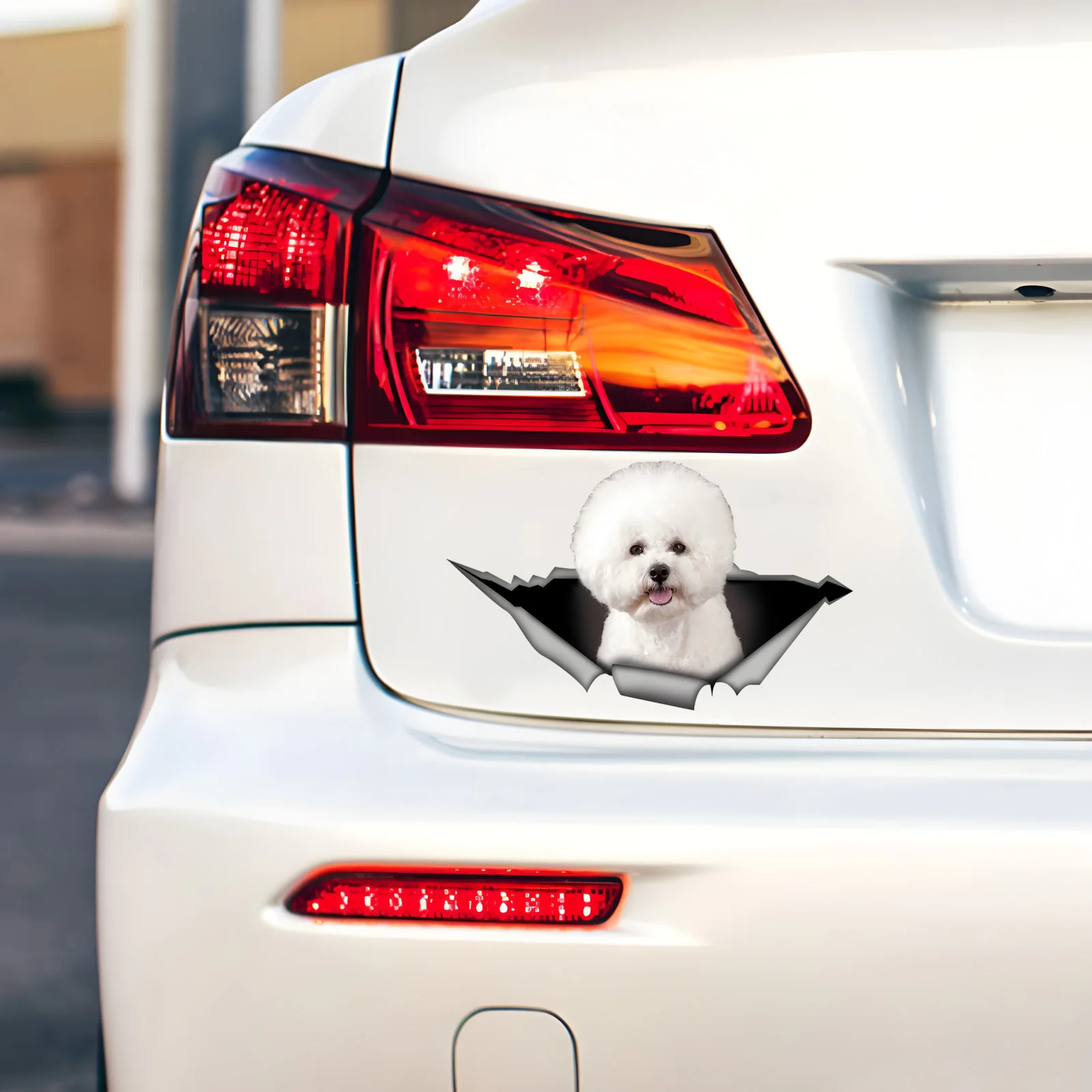 DK380# 1pc Bichon Frise Funny Car Sticker, Cute Dog in the Hole Creative Design Sticker, Suitable for Cars, Trucks, Motorcycles