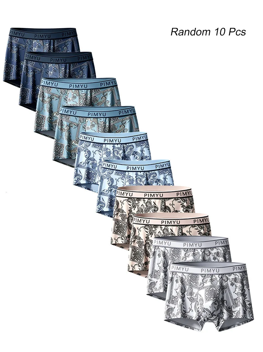 Random 10 Pack Men's Boxer Briefs Breathable Soft Underwear Trunks with Elastic Waistband & Paisley Print