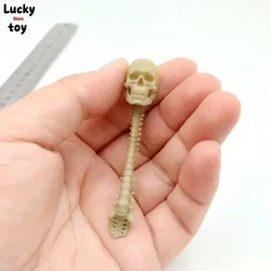 Collection 1/12 Scale PVC Human Skeleton Skull with Vertebra Model for 6in Action Figure Scene Accessory Toy