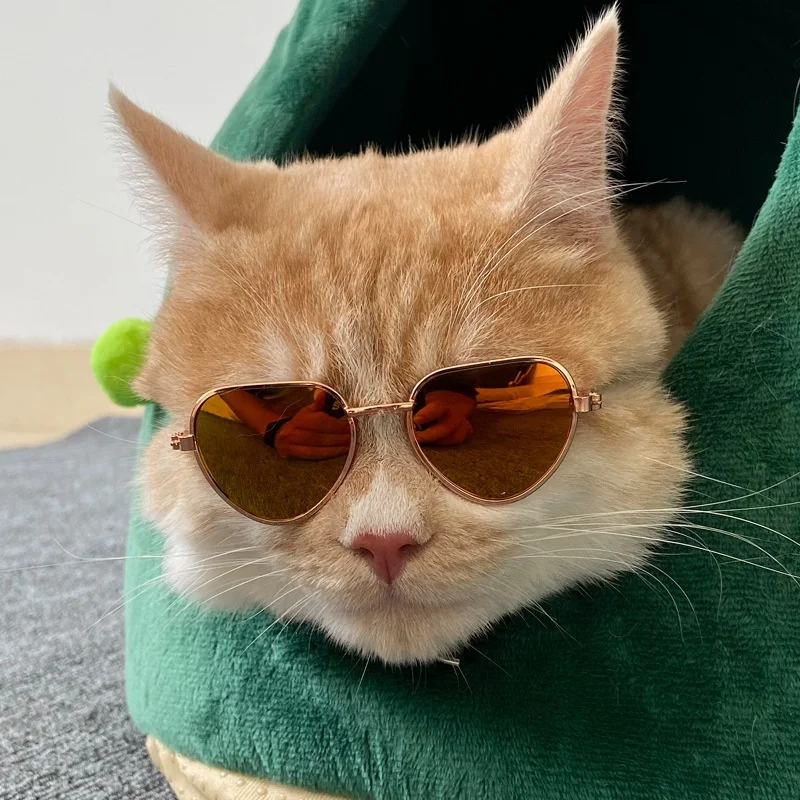Rutschfeste Sonnenbrille für Katzen & Kleine Hunde Haustier-Zubehör Welpen-Kätzchen-Cosplay-Kostüm Niedliche Tier-Brillen Foto-Requisiten – Detail 13