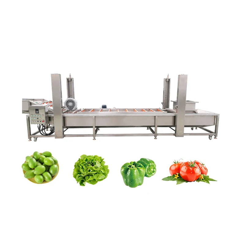 Customized Vegetable Washing Machine SUS 304 Material Bubble Cleaning Drying Fruits and Vegetable Processing Equipment
