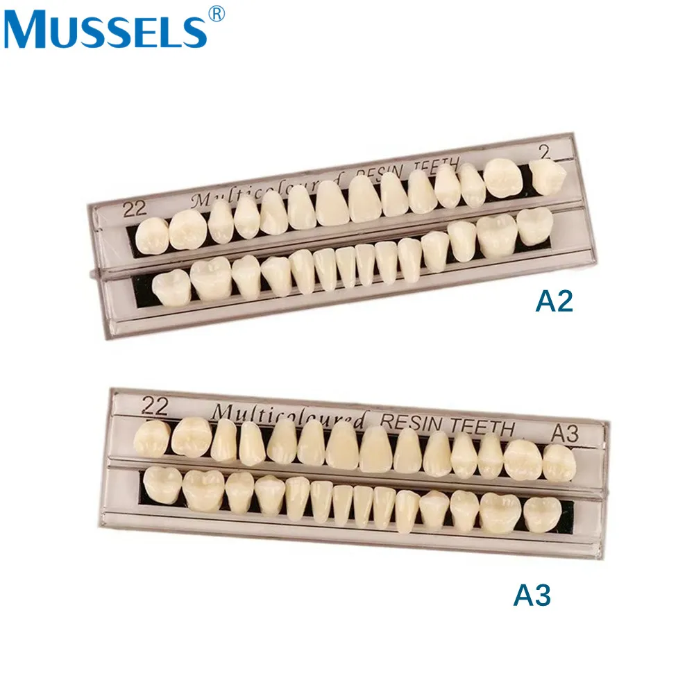 28 Uds. De dientes dentales de resina acrílica, juego completo de diente falso, modelo de enseñanza sintético, sombra A2 A3, superior e inferior para Halloween