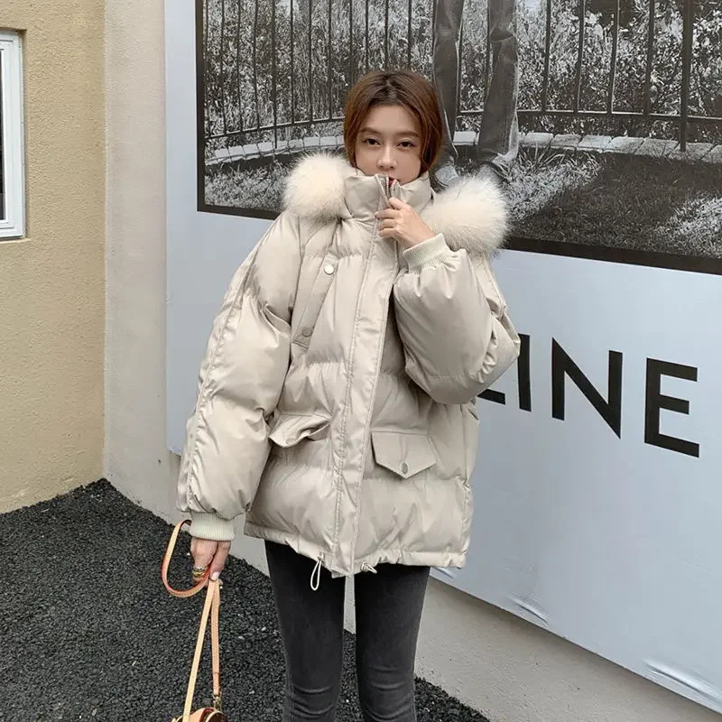 Cotton-padded Jacket New Style Female Cotton-padded Clothes Korean Version Loose Wintertime Thickening Type Short Down Jacket