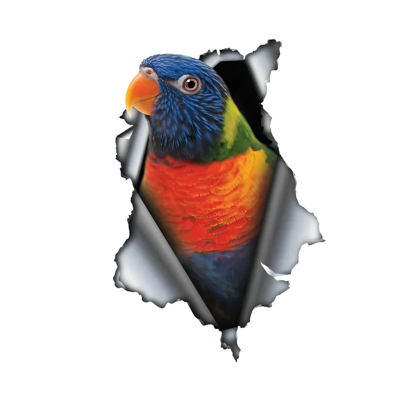 

DK442 # Радужные автомобильные наклейки Lorikeet с животными, водонепроницаемые наклейки из ПВХ с 3D-эффектом, блокирующими царапинами и увеличенными забавными автозапчастями