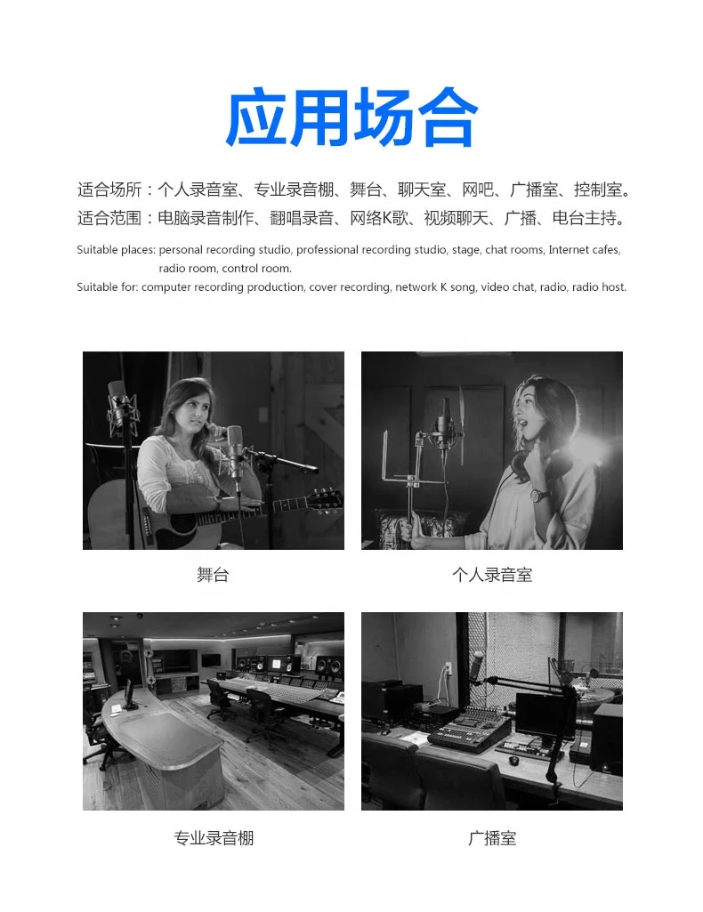TEYUN PS-4 High Quality Cheap Microphone Wind Screen Microphone Studio Filter Plastic Metal Material Hot Sale view 6