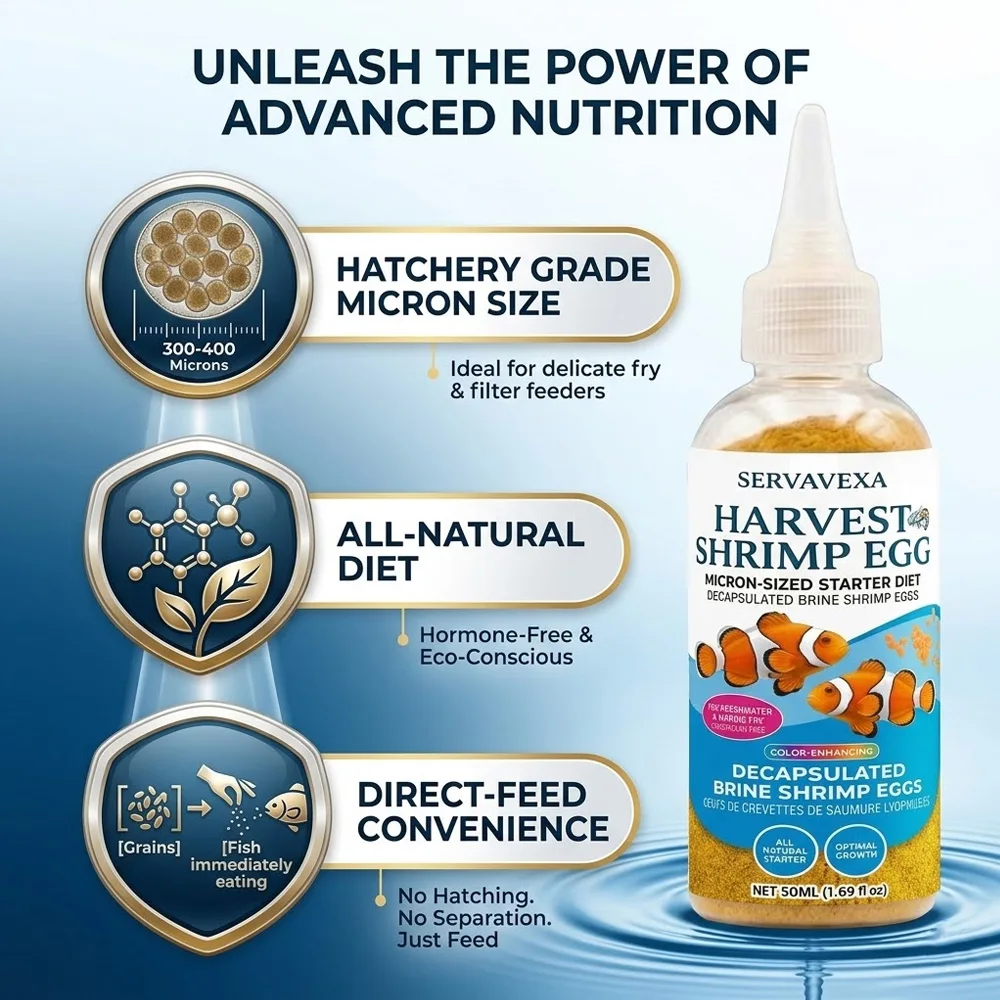 High Protein Fish Food for Betta Guppy Fry Premium Aquarium Feed Quick Growth Healthy Digestion Immune Support Floating Pellet view 2