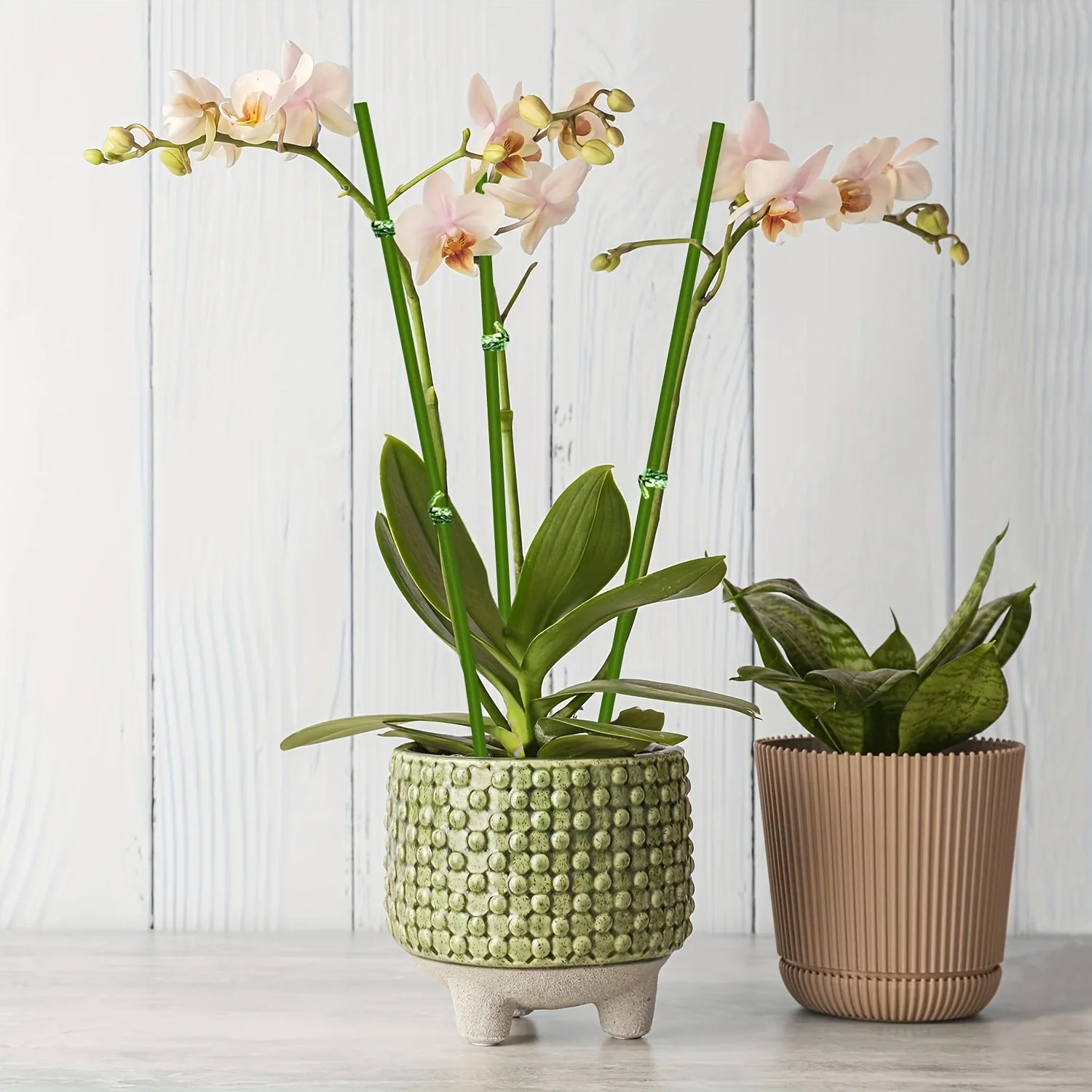 20pcs Green Flexible Plant Support Sticks For Orchids Peonies Roses Potted Flowers Heavy-Duty Plastic Metal Fiber Plant Stands