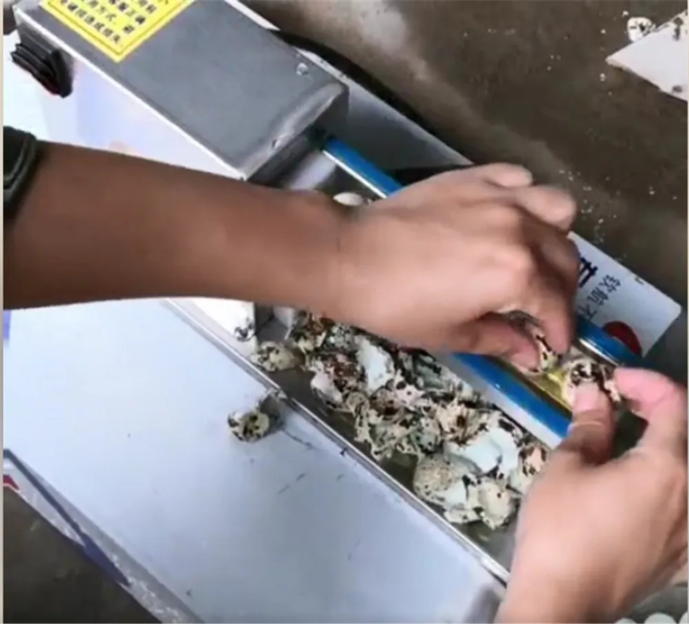 

Small Semi-automatic Quail Egg Peeler Machine Huller Electric Quail Egg Peeling Machine Sheller Machine Shelling Machine