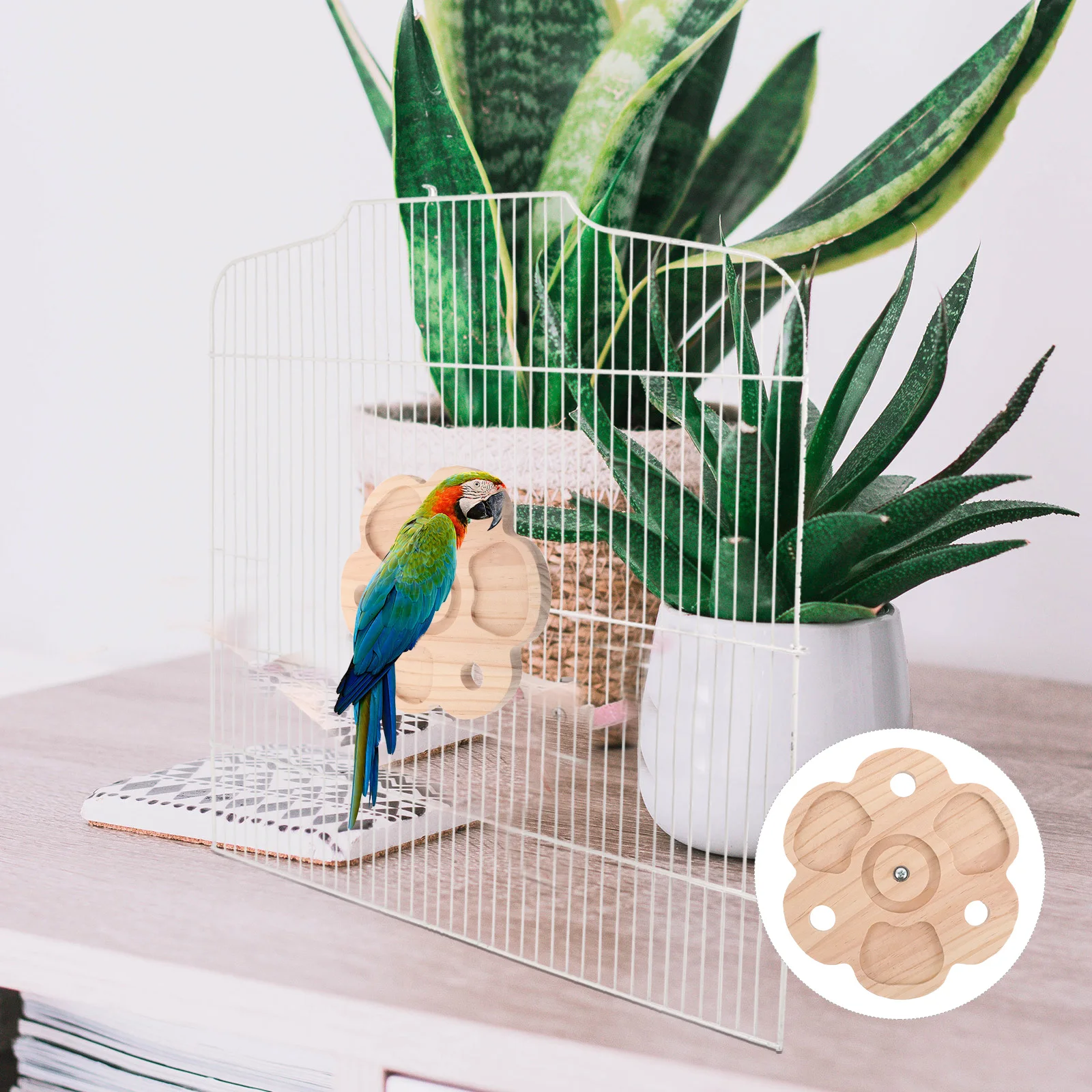 

Chinchilla Teeth Grinding Toys Cage Spinning Biting Supplies Chew Windmill Parrot Chewing Rabbit