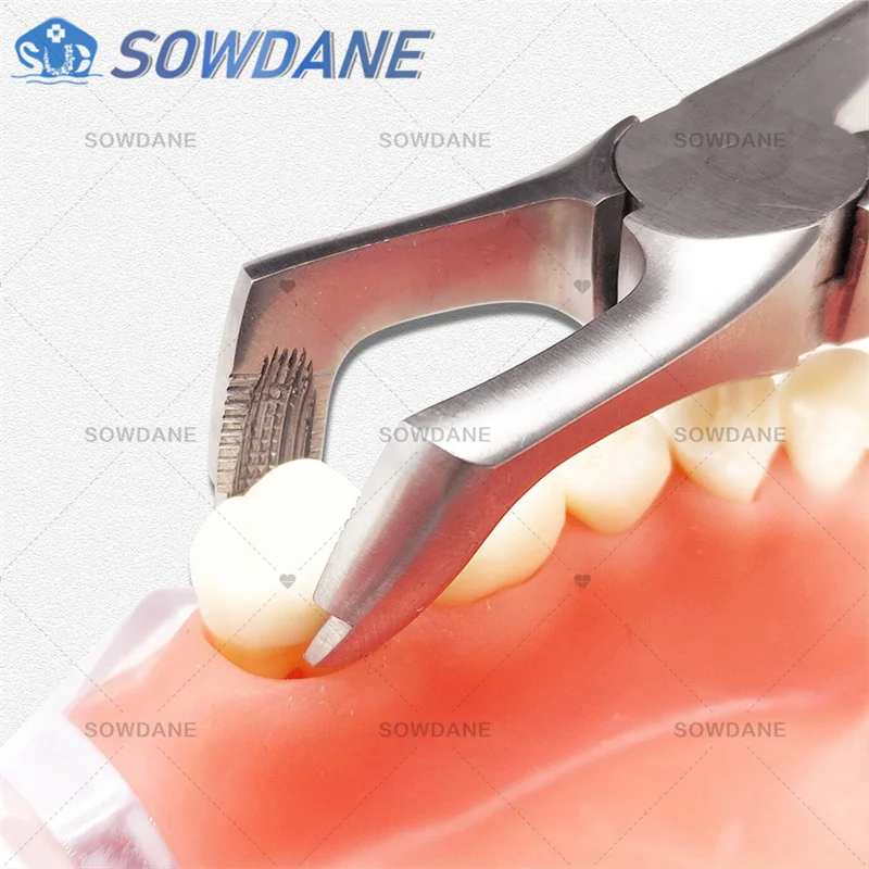 Dental Forcep Root Fragment Minimally Invasive Tooth Extraction Forcep Dental wisdom teeth plier Dental Surgical Instrument Tool
