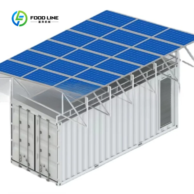 Customized Solar Powered Containerized Block Ice Maker 304 Stainless Steel CE Certified for Tropical Off-Grid Fishery