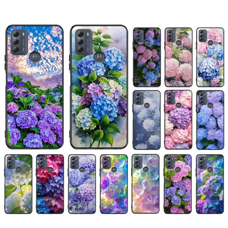 Hydrangeas Flower C…