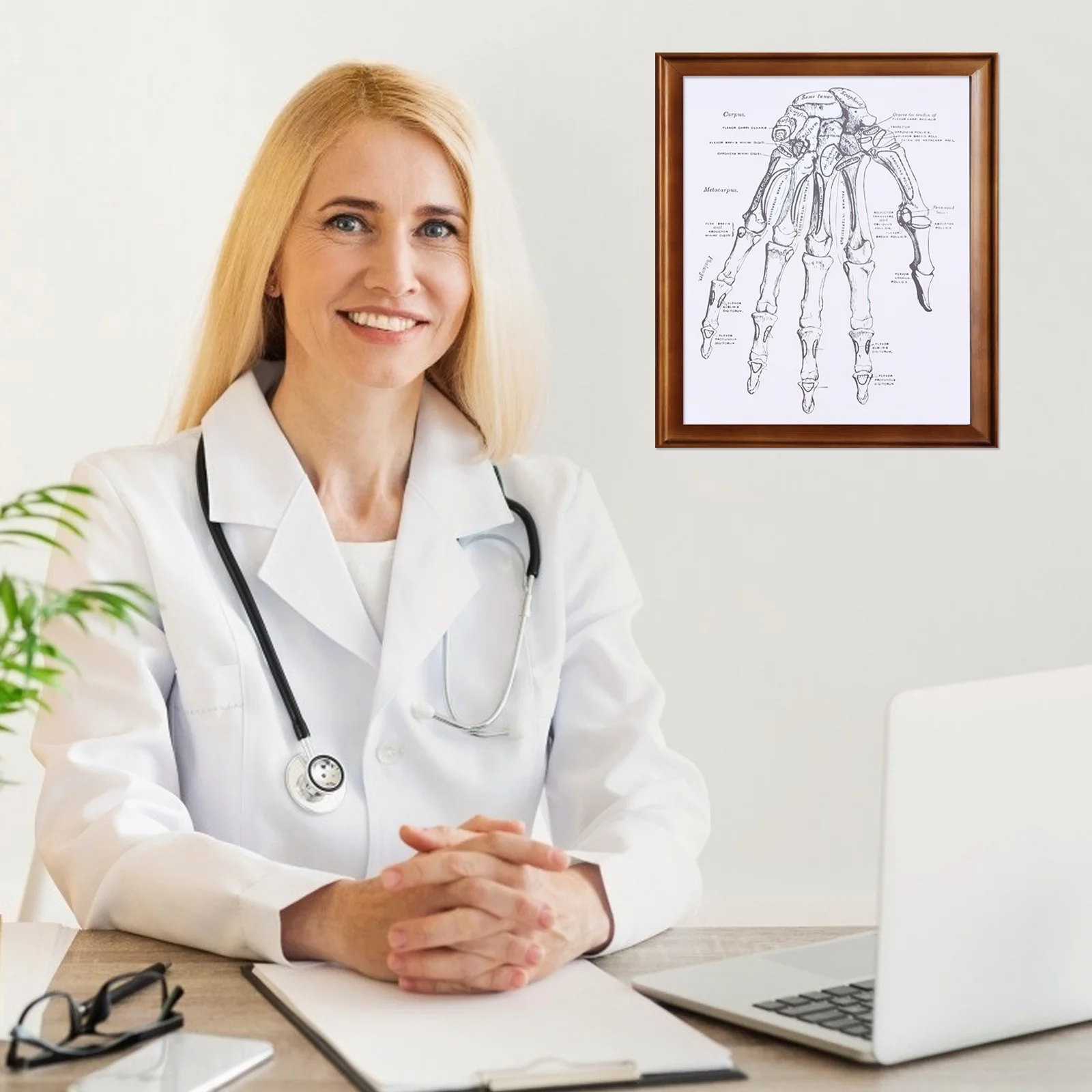 

Anatomy Prints Wall Poster Human Pictures Medical Artwork Posters for Chart