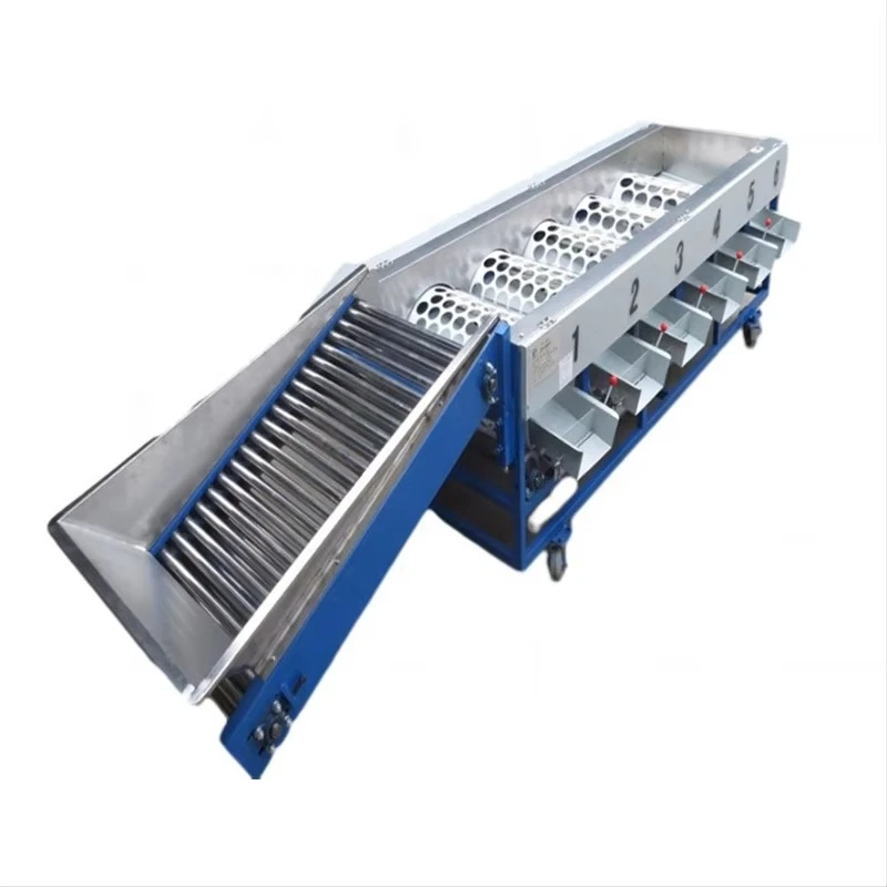 Factory Supply Price Industrial Round Vegetables Fruit Drum Grader Sorting Cherry Tomato Taro Mushroom Orange