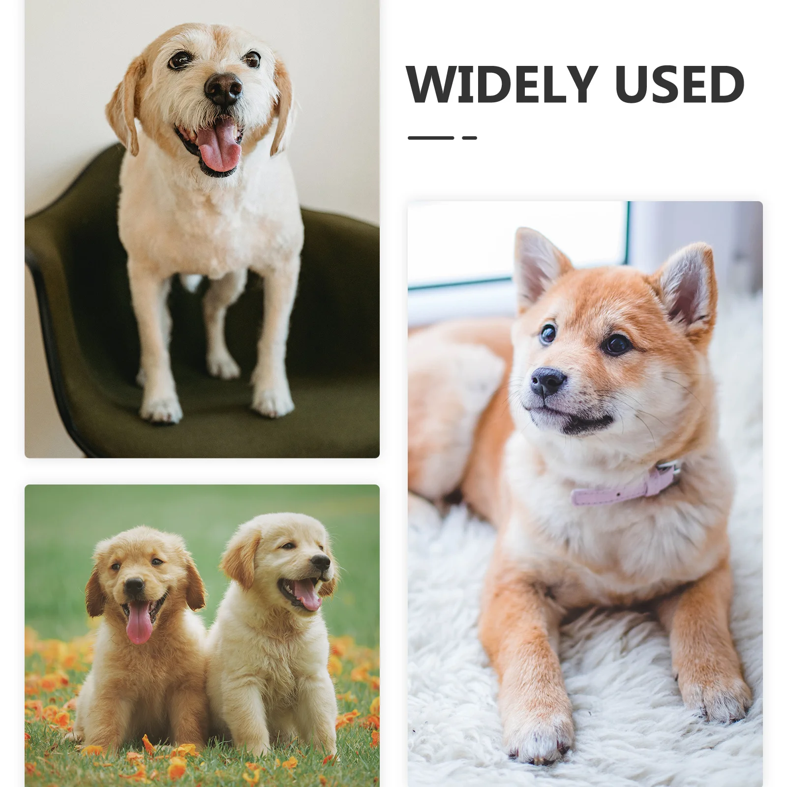 

Printed Winter Dog Clothes Xs Warm Puppy Costume Outdoor Comfortable Thermal Dog Coat Winter Pet Clothes Adorable Puppy Clothing