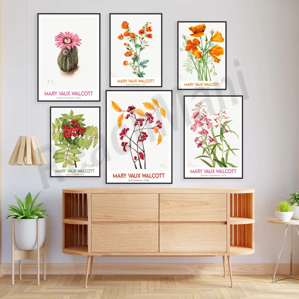 Mary Walkers Walcott floral print, berries, California poppies, red lilies, autumn leaves, wildflowers, flowers, botanical poste