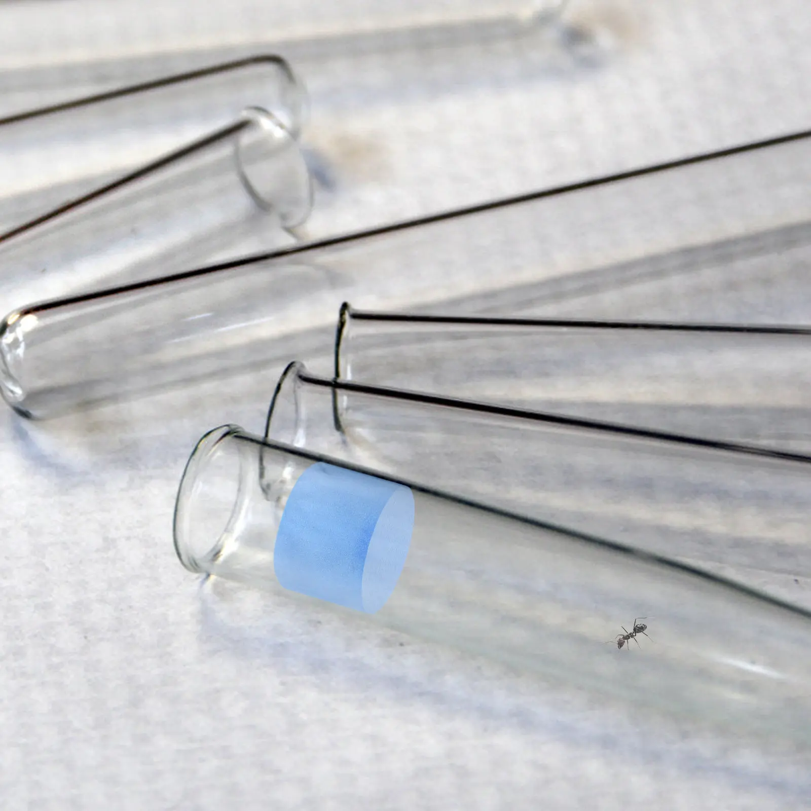 5Pcs Ant Nest Water…