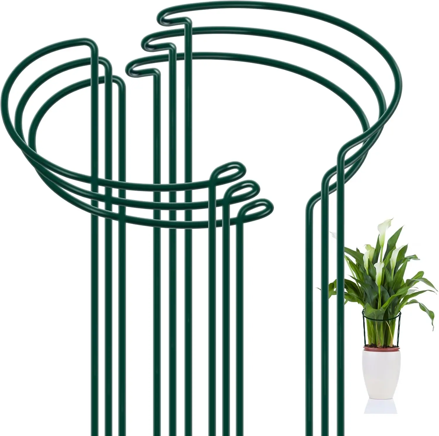 

Peony Cages and Supports, 6 Pack Plant Support Stakes for Outdoor & Indoor Plants, 10' W x 16' H Half Round Garden Plant Support