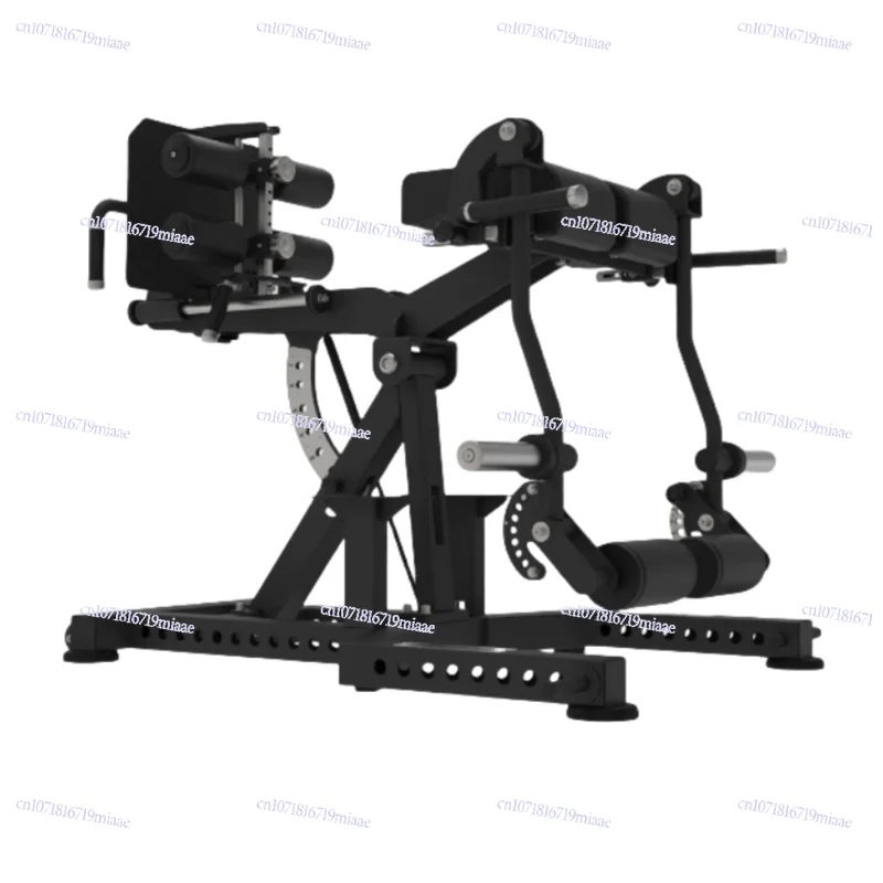 

Reverse Leg Lifter Leg Muscle Strength Instrument