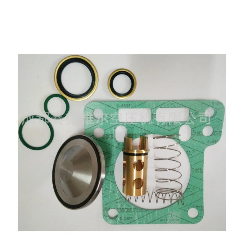 Check Valve Maintenance Kit 3003501000