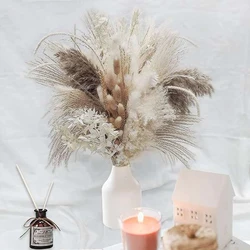 79 sztuk naturalne suszone puszyste Pampas trawy bukiet zestaw, Boho Home Decor pompatyczna trawa duża trzcina Bunny Tail pszenicy łodygi dekoracyjne