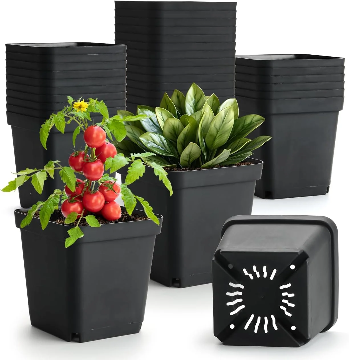 Macetas Cuadradas de 5.5 Pulgadas, 50 Unidades, Reutilizables, de Plástico, con Orificios de Drenaje para Jardinería Interior/Exterior