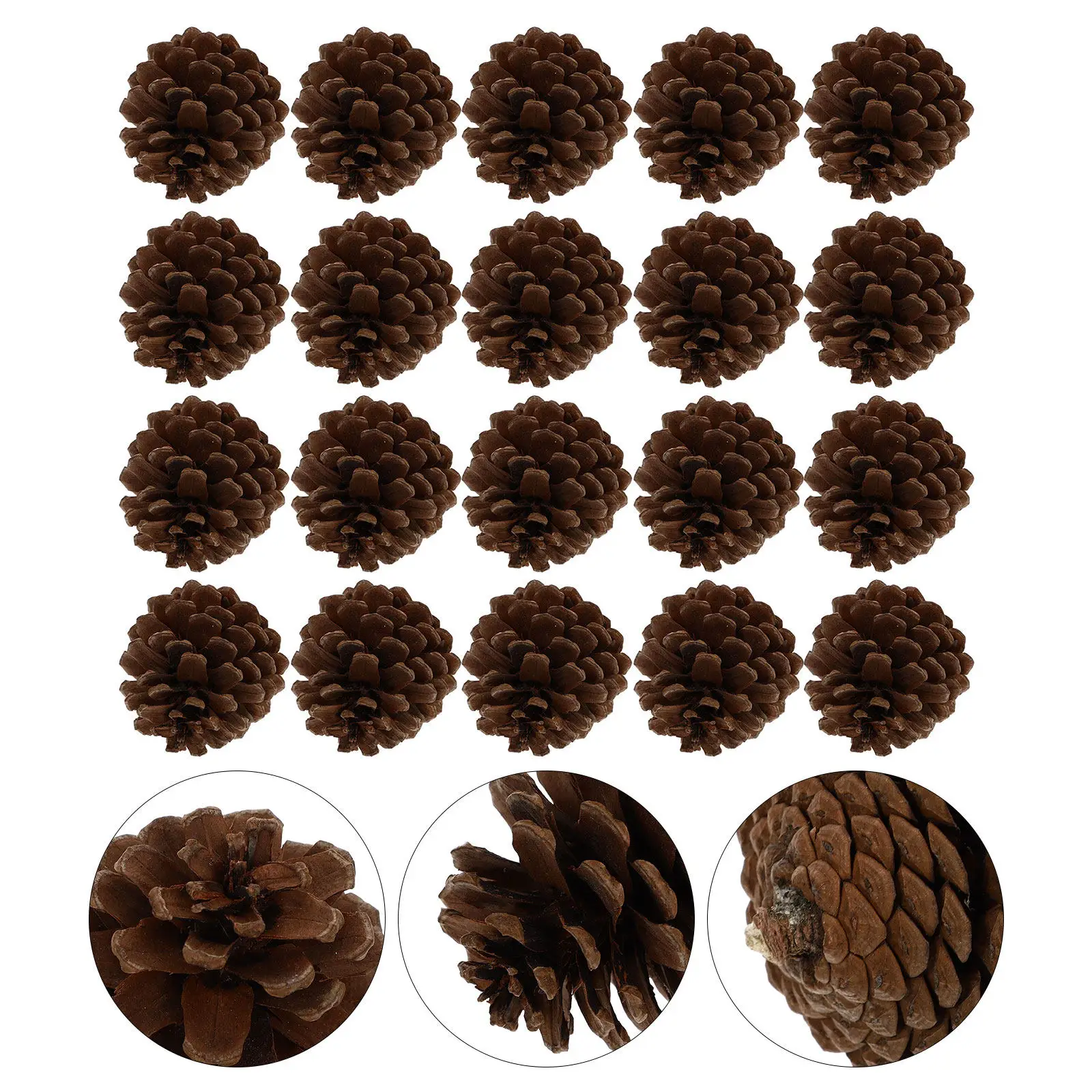 

Натуральные сосновые шишки для DIY-поделок, украшения, изготовления подвесок, елочных игрушек, сухоцветов и декора для ваз