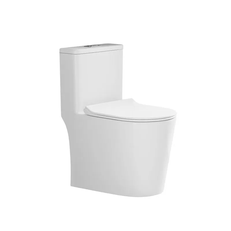 

Modern Household One-Piece Ceramic WC Toilet Elongated Flush Bowl Dual-Flush Floor Mounted Siphonic for Bathroom Use