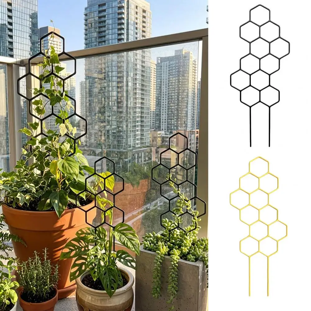 Pothos Plant Climber Potted Plants Trellis Honeycomb Shape  Trellis Plant Climber Support Garden Trellis for Climbing Plants Hoy