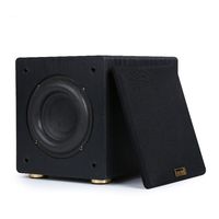 100W HiFi Fever Large Magnetic Steel Speakers 6.5 Inch Wooden Passive Subwoofer Audio Home Theater High-power Subwoofer Boom box