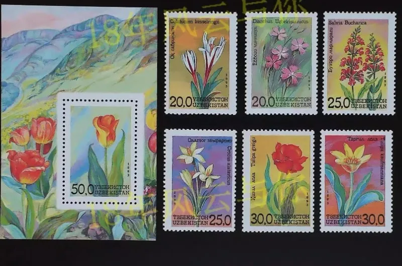 6 PCS+1, Uzbekistan, 1993, Flowers, Real Original Post Stamps, MNH