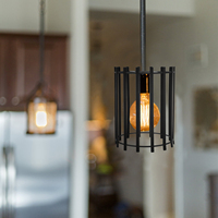 Geometric Pendant Light Shade Black Metal Cage Wire Lamp Shade For Hanging Pendant Light Industrial Ceiling Fixture