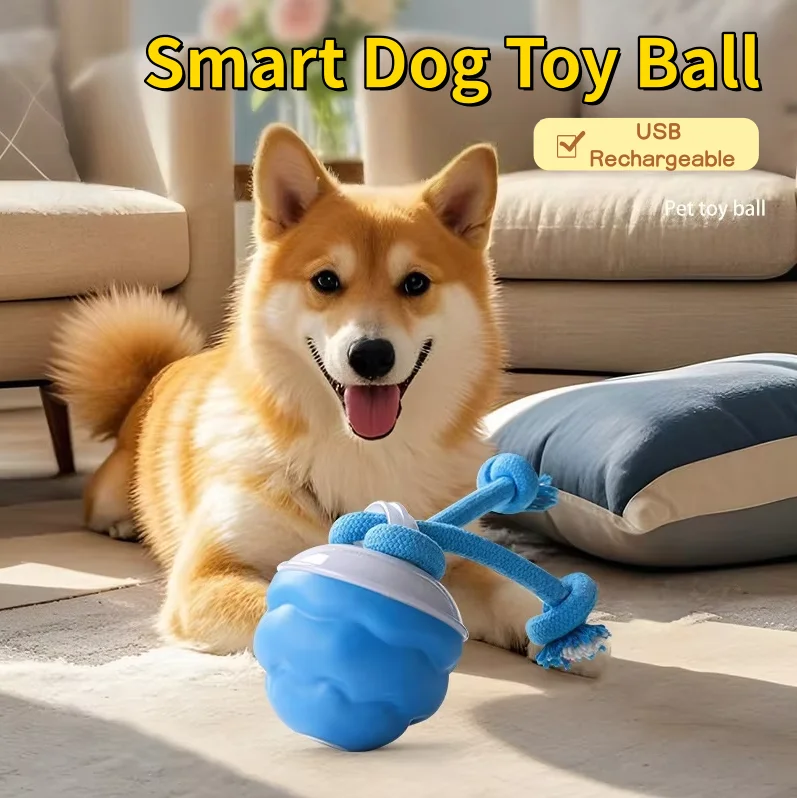#38 Best Puppy Balls to Buy In 2026