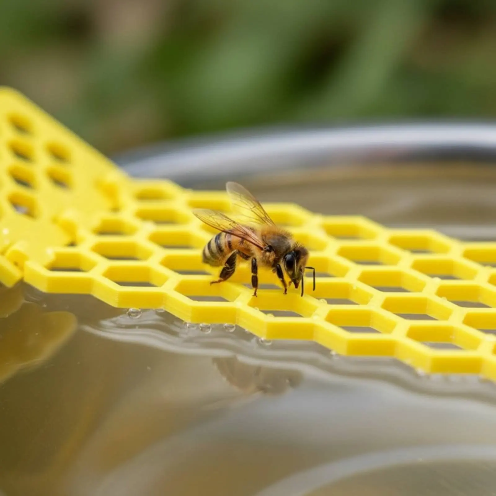 

Buoyant Bee Ladder Safe Landing Surface Bee Watering Station Pollinator Drinking Station Lightweight Beekeeping Supply Reusable