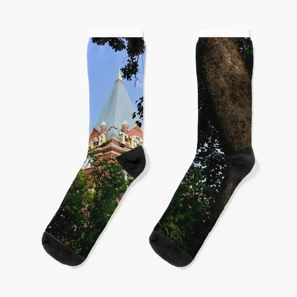 Tech Tower - View One Socks snow Stockings compression retro Non-slip Women Socks Men's