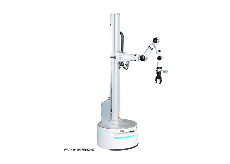 Compound Lifting Robot Multi Axis Robot Composite Lifting Robot for New Retail Unmanned Supermarket in Automated Environment