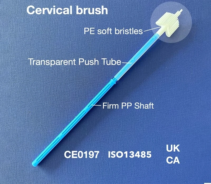 

Custom Manufacturer Disposable Sampling Cytology Brush Blue Cyto Brush Medical