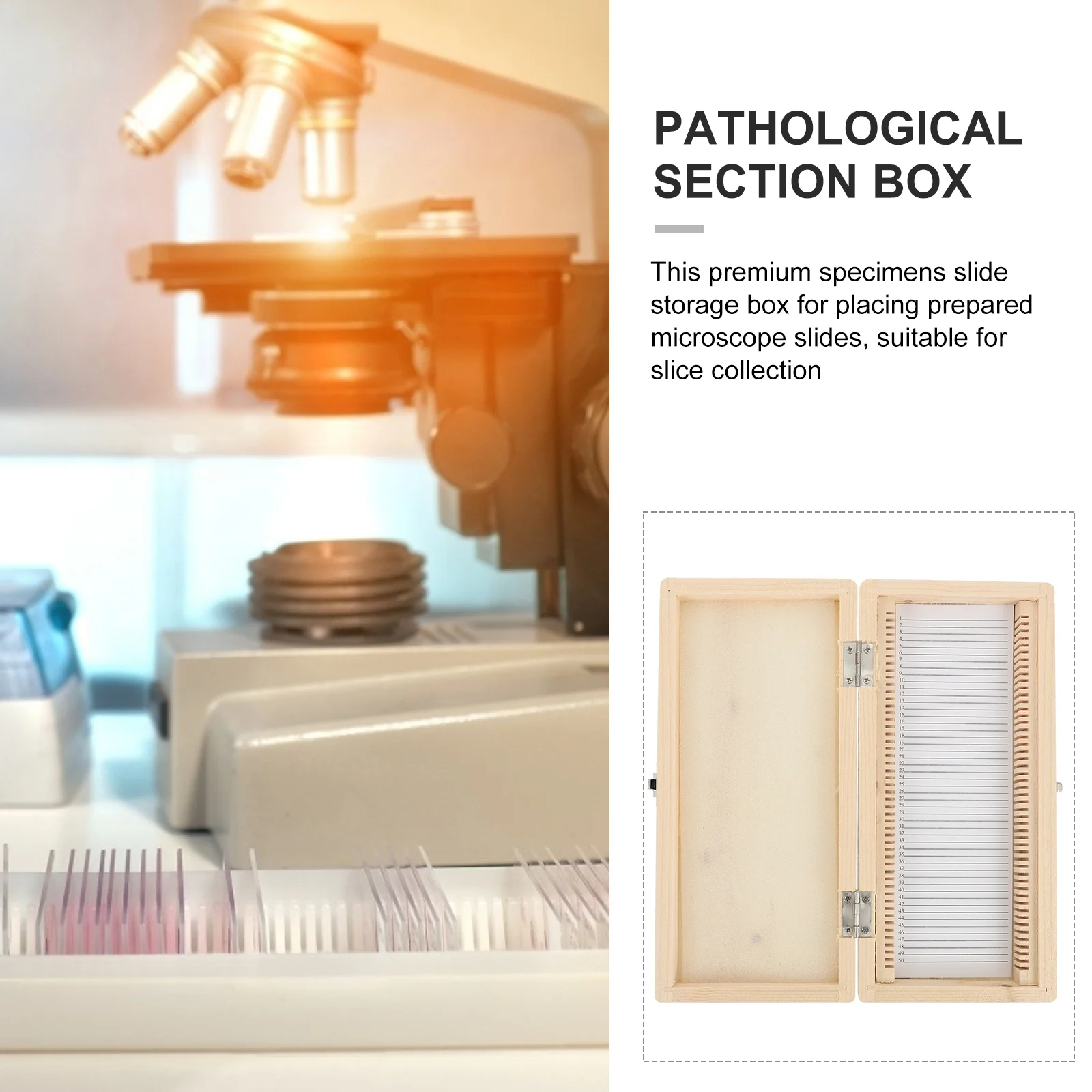 Wood Microscope Slide Storage Box Microscope Slide Holder Multi Slots Storage Container Labs Microscope
