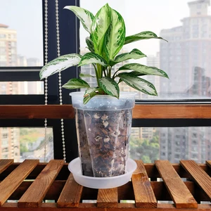 Sebze bahçesi balkonunun 6 büyük satışı-no. 6